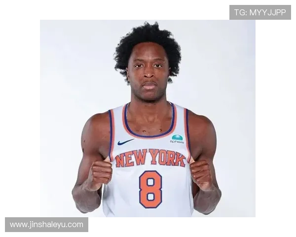 纽约尼克斯新赛季阵容解析与夺冠潜力全面评估